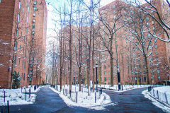 First snow of 2022. 
Snow details show East Village, Gramercy Park, Central Park.