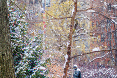 First snow of 2022. 
Snow details show East Village, Gramercy Park, Central Park.