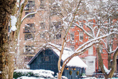 First snow of 2022. 
Snow details show East Village, Gramercy Park, Central Park.