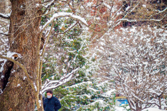 First snow of 2022. 
Snow details show East Village, Gramercy Park, Central Park.