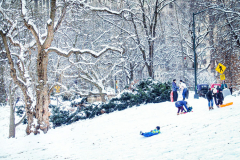 First snow of 2022. 
Snow details show East Village, Gramercy Park, Central Park.
