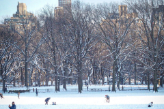 First snow of 2022. 
Snow details show East Village, Gramercy Park, Central Park.