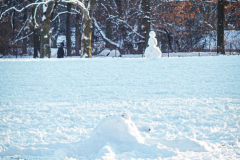First snow of 2022. 
Snow details show East Village, Gramercy Park, Central Park.