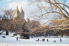 First snow of 2022. 
Snow details show East Village, Gramercy Park, Central Park.
