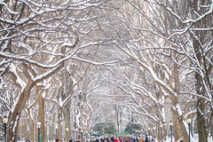 First snow of 2022. 
Snow details show East Village, Gramercy Park, Central Park.