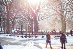 First snow of 2022. 
Snow details show East Village, Gramercy Park, Central Park.
