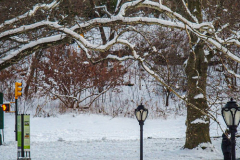 First snow of 2022. 
Snow details show East Village, Gramercy Park, Central Park.
