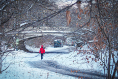 First snow of 2022. 
Snow details show East Village, Gramercy Park, Central Park.