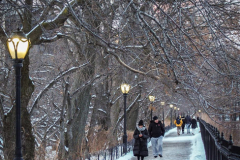 First snow of 2022. 
Snow details show East Village, Gramercy Park, Central Park.