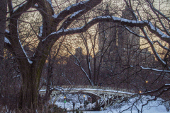 First snow of 2022. 
Snow details show East Village, Gramercy Park, Central Park.