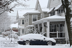 Snow
West Brighton, Staten Island
Friday, January 07, 2022
For Credit:  Mary DiBiase Blaich

The first real snowfall of 2022 totaled 6 inches in West Brighton, Staten Island.
