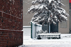 Snow
West Brighton, Staten Island
Friday, January 07, 2022
For Credit:  Mary DiBiase Blaich

The first real snowfall of 2022 totaled 6 inches in West Brighton, Staten Island.