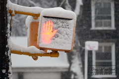 Snow
West Brighton, Staten Island
Friday, January 07, 2022
For Credit:  Mary DiBiase Blaich

The first real snowfall of 2022 totaled 6 inches in West Brighton, Staten Island.