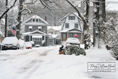 Snow
West Brighton, Staten Island
Friday, January 07, 2022
For Credit:  Mary DiBiase Blaich

The first real snowfall of 2022 totaled 6 inches in West Brighton, Staten Island.