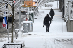 Snow
West Brighton, Staten Island
Friday, January 07, 2022
For Credit:  Mary DiBiase Blaich

The first real snowfall of 2022 totaled 6 inches in West Brighton, Staten Island.