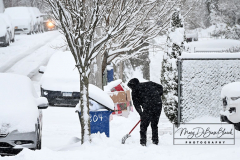 Snow
West Brighton, Staten Island
Friday, January 07, 2022
For Credit:  Mary DiBiase Blaich

The first real snowfall of 2022 totaled 6 inches in West Brighton, Staten Island.