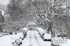 Snow
West Brighton, Staten Island
Friday, January 07, 2022
For Credit:  Mary DiBiase Blaich

The first real snowfall of 2022 totaled 6 inches in West Brighton, Staten Island.