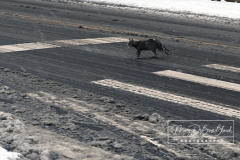 Snow
West Brighton, Staten Island
Friday, January 07, 2022
For Credit:  Mary DiBiase Blaich

The first real snowfall of 2022 totaled 6 inches in West Brighton, Staten Island.