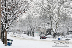 Snow
West Brighton, Staten Island
Friday, January 07, 2022
For Credit:  Mary DiBiase Blaich

The first real snowfall of 2022 totaled 6 inches in West Brighton, Staten Island.