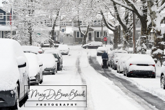 Snow
West Brighton, Staten Island
Friday, January 07, 2022
For Credit:  Mary DiBiase Blaich

The first real snowfall of 2022 totaled 6 inches in West Brighton, Staten Island.