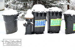 Snow
West Brighton, Staten Island
Friday, January 07, 2022
For Credit:  Mary DiBiase Blaich

The first real snowfall of 2022 totaled 6 inches in West Brighton, Staten Island.