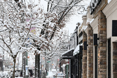 Snow
West Brighton, Staten Island
Friday, January 07, 2022
For Credit:  Mary DiBiase Blaich

The first real snowfall of 2022 totaled 6 inches in West Brighton, Staten Island.