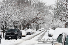 Snow
West Brighton, Staten Island
Friday, January 07, 2022
For Credit:  Mary DiBiase Blaich

The first real snowfall of 2022 totaled 6 inches in West Brighton, Staten Island.