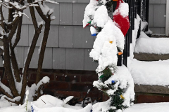 Snow
West Brighton, Staten Island
Friday, January 07, 2022
For Credit:  Mary DiBiase Blaich

The first real snowfall of 2022 totaled 6 inches in West Brighton, Staten Island.