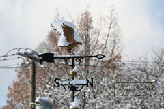 Snow
West Brighton, Staten Island
Friday, January 07, 2022
For Credit:  Mary DiBiase Blaich

The first real snowfall of 2022 totaled 6 inches in West Brighton, Staten Island.