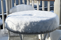 Snow
West Brighton, Staten Island
Friday, January 07, 2022
For Credit:  Mary DiBiase Blaich

The first real snowfall of 2022 totaled 6 inches in West Brighton, Staten Island.