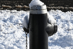 Snow
West Brighton, Staten Island
Friday, January 07, 2022
For Credit:  Mary DiBiase Blaich

The first real snowfall of 2022 totaled 6 inches in West Brighton, Staten Island.