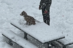 09C96092-2ED5-4789-AA05-E20E9F414869