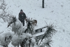 1987CF7F-A79D-43F5-B160-5EB0A82ABBC3