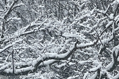 50678D82-D97A-456E-86FD-F8F73924BE65