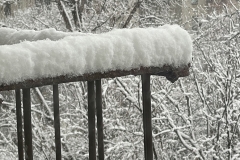 5D30ACD3-5825-44AD-9207-B5070D27B0BD