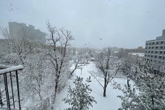 7EED2228-65A3-4A96-B797-8A6F3B39A01E