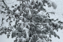 A54528EA-D55A-4913-8E01-F8396A4C7B7E