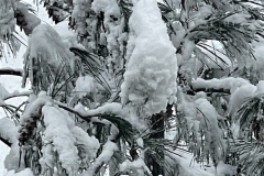 F621F64E-DE88-41B5-A416-74E0BABF98F9