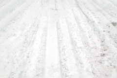 First Snow Storm Dec 2020. Morning Commute in the Bronx. Now MTA Buses on time and no Cabs. I actually walked to the subway station.