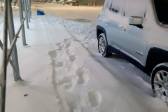 First Snow Storm Dec 2020. Morning Commute in the Bronx. Now MTA Buses on time and no Cabs. I actually walked to the subway station.