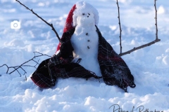 A tiny snowman in the park