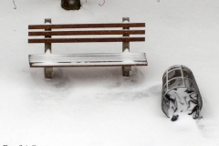 December 17,2020   Snow Storm hits New York City. Kids playing in the snow and adultsshoveling snow and cleaning off cars.