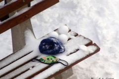 December 17,2020   Snow Storm hits New York City. Kids playing in the snow and adultsshoveling snow and cleaning off cars.