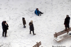 December 17,2020   Snow Storm hits New York City. Kids playing in the snow and adultsshoveling snow and cleaning off cars.