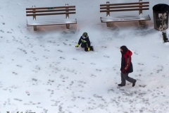 December 17,2020   Children playing outside after Snow Storm hits New York City. Children are having a brief respite from Covid 19 Pandemic with snowball fights and making snow angels and making snowmen.