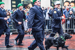 Rain or shine, hundreds of thousands of spectators came out to celebrate the St. Patrick’s parade in NYC. In its 260th year since its inception, the parade was welcome and gave cheer for locals and visitors alike after a two year adjustment due to COVID.
Starting from 44th St. and 5th Ave., the parade holds roughly 150,000 marchers passing St. Patrick’s Church and Central Park, down the Museum mile and ending at East 79th Street. Thursday, March 17th. NYC, NY. (C) Bianca Otero