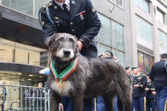 New York City Saint Patrick’s Parade is back this year!