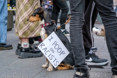 New York-  Stop the Hate Rally and March held in Times Square. speakers and celebrities gathered at the Red steps and then marched down to foley square to meet up with other protestors and continued to march over the Brooklyn Bridge to Cadmen plaza.
Photos: Reiko Yanagi