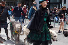 April 9, 2022  New York,  Tartan Day Parade.
Grand Marshal Karen  Gillan is a Scottish actress and filmmaker.For the first time since 2019, the 2022 annual Tartan Day Parade in New York will be hosted in person.