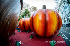 Macy’s Parade Balloon Inflation was held along NYC’s Central Park West on 11/24/21.  Balloons of various colors and sizes were on display to the public This is as an annual event, the night before the Macy’s parade.  Copyright Jon Simon